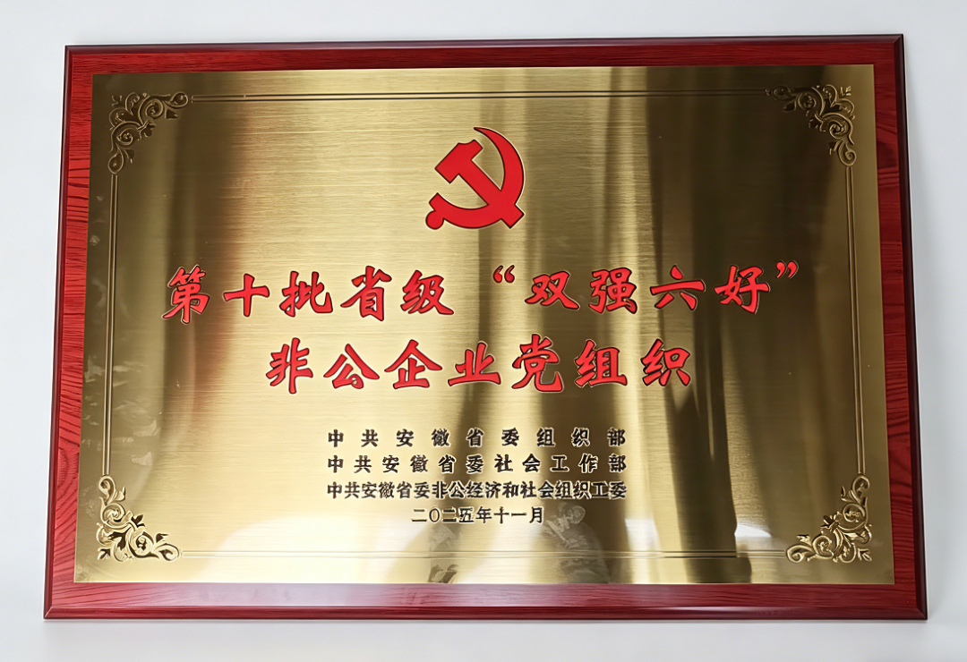 双强六好奖牌.png